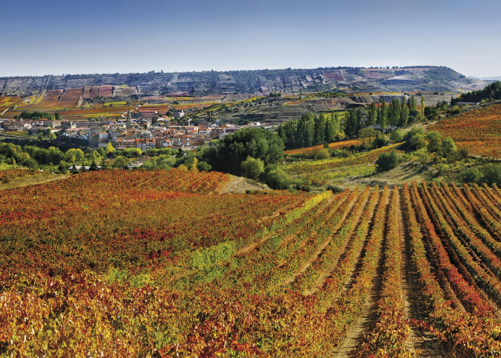 Noviembre en la Rioja Alta: paisajes únicos y viñedos eternos - Ruta ...