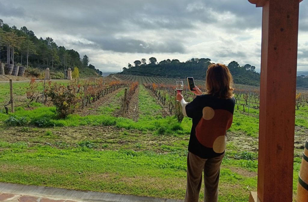 Ruta del Vino Rioja Alta viñedos