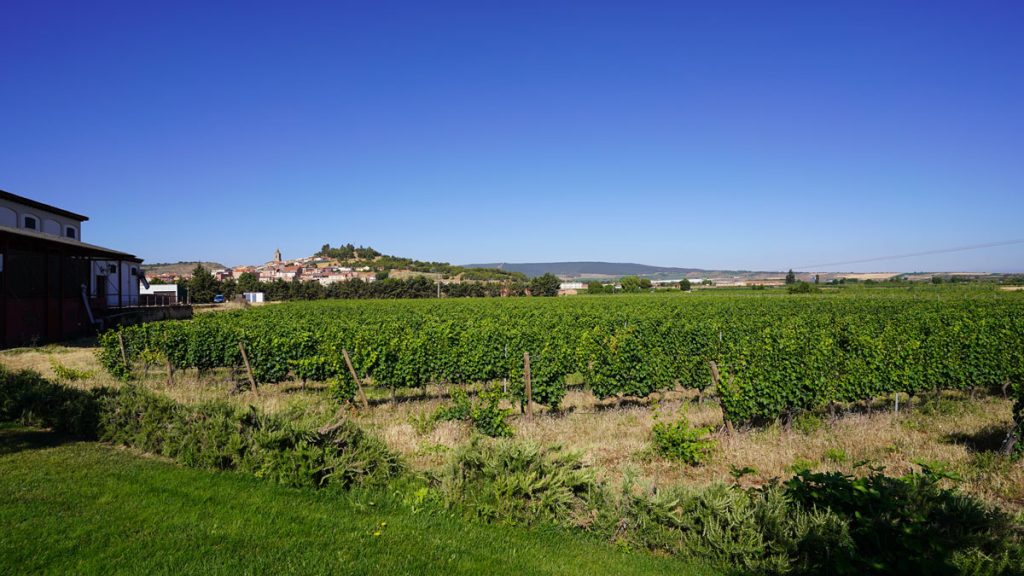 Ruta del Vino Rioja Alta paisaje