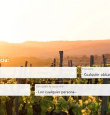 Potencia la promoción de tus actividades en la nueva plataforma de Rutas del Vino de España