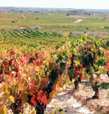 La Rioja, in the international wine tourism spotlight