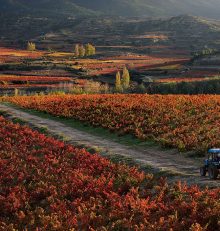 WineTourism.com describes the Rioja Alta Wine Route as “one of the most excellent in Spain”.