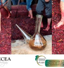 Bodegas Lecea receives the National Award for its work in preserving the Historical Heritage