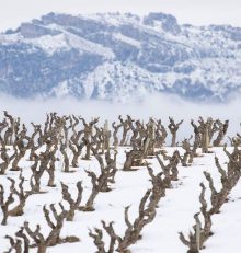 Snow makes the Rioja Alta Wine Route even more beautiful