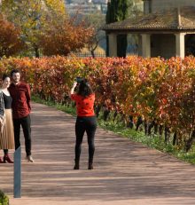 Abierto el plazo para presentar candidaturas a los VI Premios de Enoturismo ‘Rutas del Vino de España’