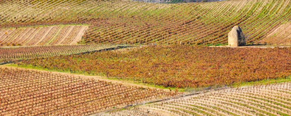 Oficinas de turismo de la Ruta del Vino Rioja Alta, tu aliada en destino