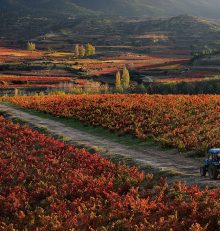 WineTourism.com describes the Rioja Alta Wine Route as “one of the most excellent in Spain”.