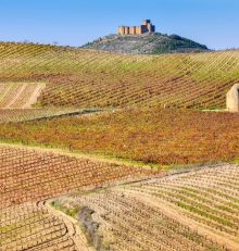 Tourist offices on the Rioja Alta Wine Route, your ally at your destination