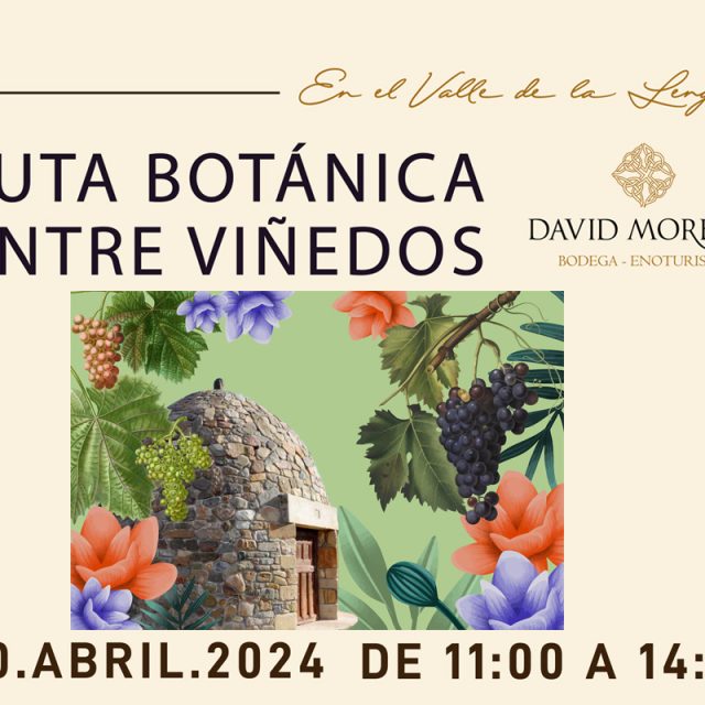 Ruta botánica entre viñedos en Bodegas David Moreno