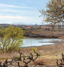 Cumple los buenos propósitos de año nuevo en la Ruta del Vino Rioja Alta