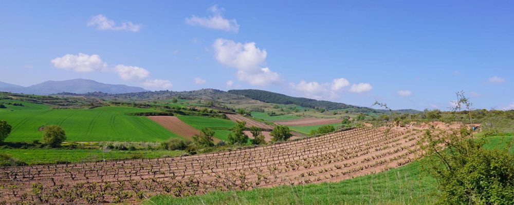 May on the Rioja Alta Wine Route: nature in full awakening