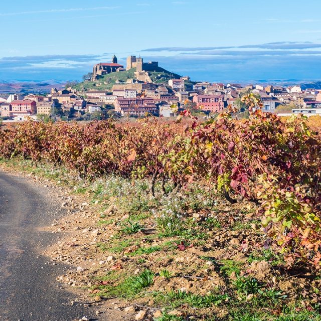 San Vicente de la Sonsierra y enoturismo familiar en Fuenmayor