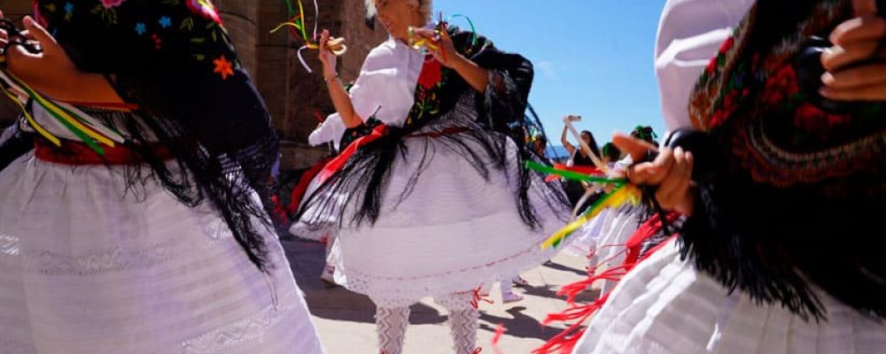 August on the Rioja Alta Wine Route: festivals, grape harvest and unforgettable experiences