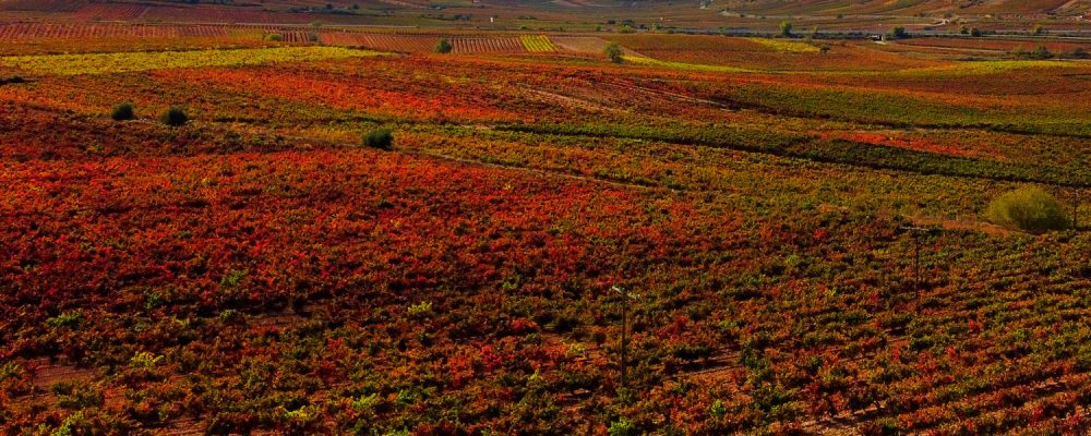 October, the month of the grape harvest and dreamlike landscapes on the Rioja Alta Wine Route