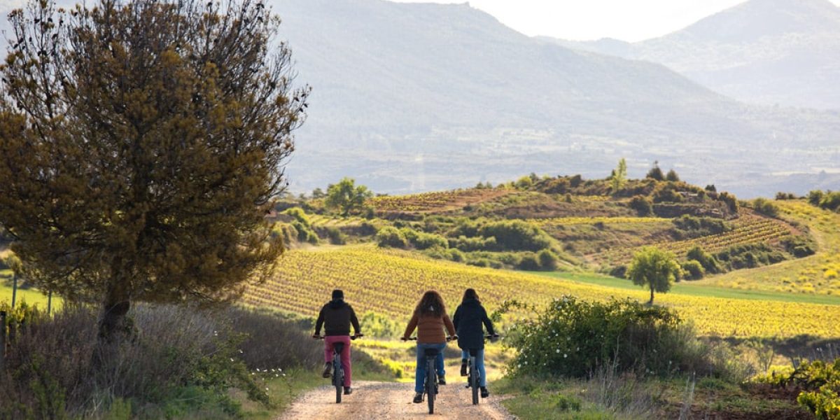 “Excursión al viñedo con bici eléctrica” 