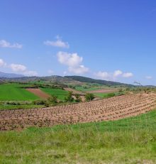 Mayo en la Ruta del Vino Rioja Alta: naturaleza en pleno despertar