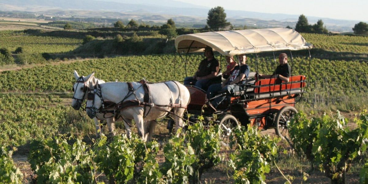 Paseo en Calesa por el viñedo