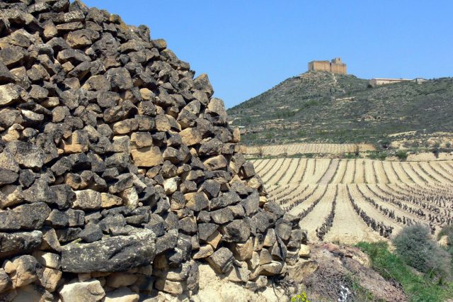 Briones – Castillo de Davalillo