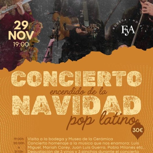 Christmas lighting concert