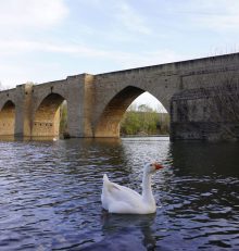 Febrero en la Rioja Alta: enamórate del enoturismo