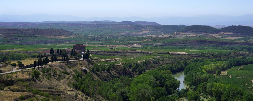 Noviembre en la Ruta del Vino Rioja Alta: calma, paisaje y experiencias auténticas