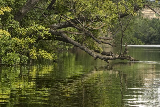 Río Ebro