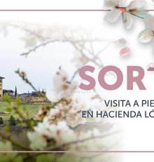 Bases de participación del sorteo primavera Visita a pie de viña en Hacienda López de Haro