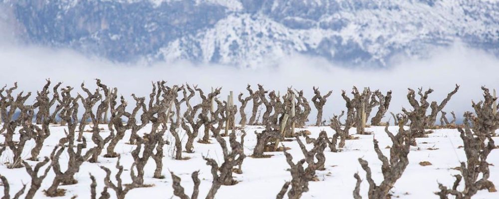 Snow makes the Rioja Alta Wine Route even more beautiful