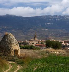 Rioja Alta consolida su posición como destino enoturístico de referencia con más de 316.000 visitantes en 2024