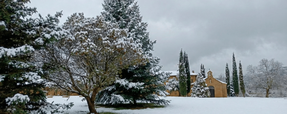 December on the Rioja Alta Wine Route: wine tourism with a Christmas flavour