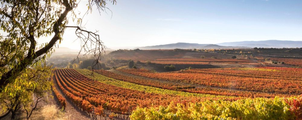 October on the Rioja Alta Wine Route: grape harvest and dream landscapes