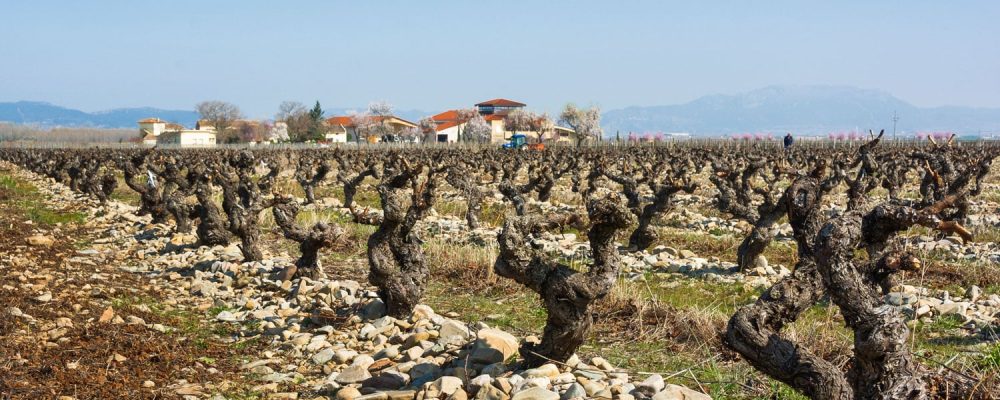 March, the awakening of spring on the Rioja Alta Wine Route