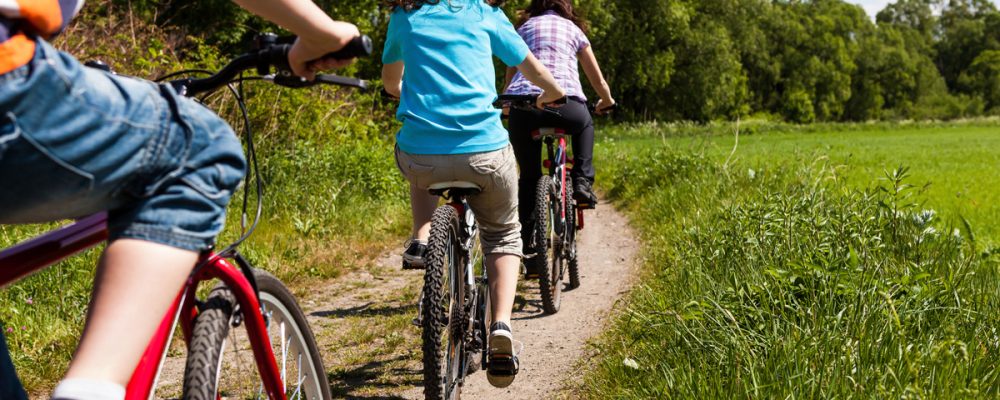 Discover the Wine Route and its Wine Trails by bike