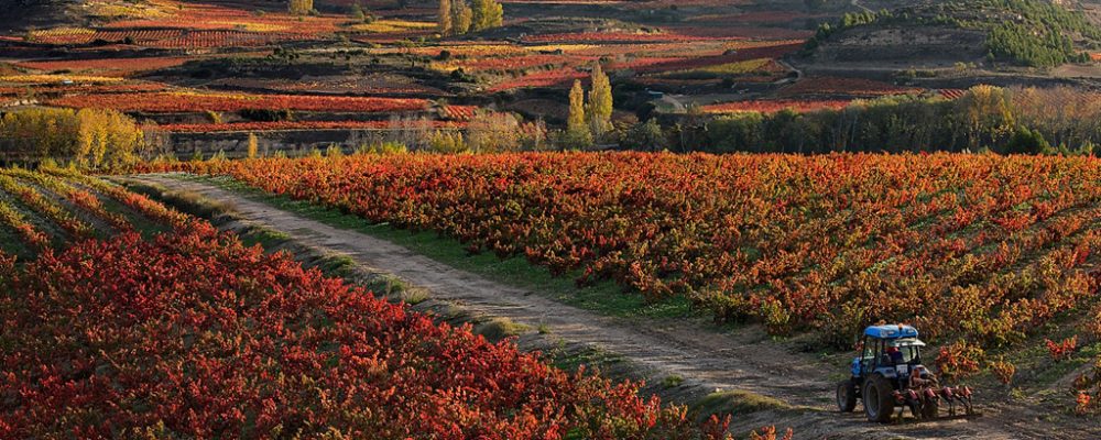 WineTourism.com describes the Rioja Alta Wine Route as “one of the most excellent in Spain”.