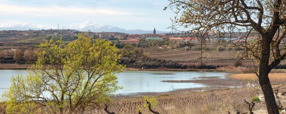 Make good New Year’s resolutions on the Rioja Alta Wine Route