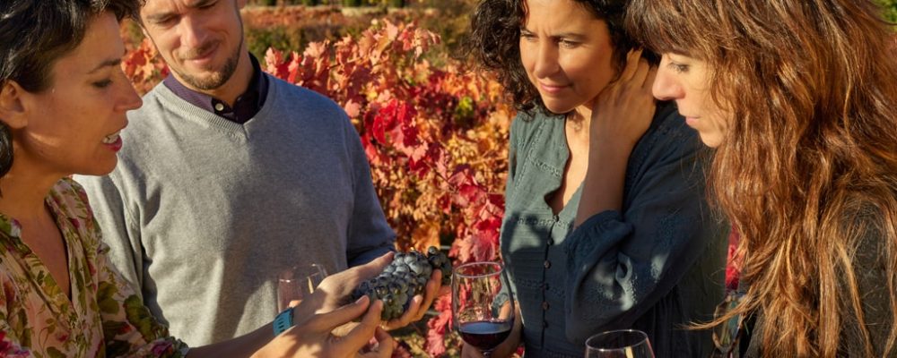 The Rioja Alta Wine Route was the most visited wine tourism destination in 2023