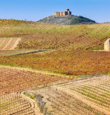 Oficinas de turismo de la Ruta del Vino Rioja Alta, tu aliada en destino