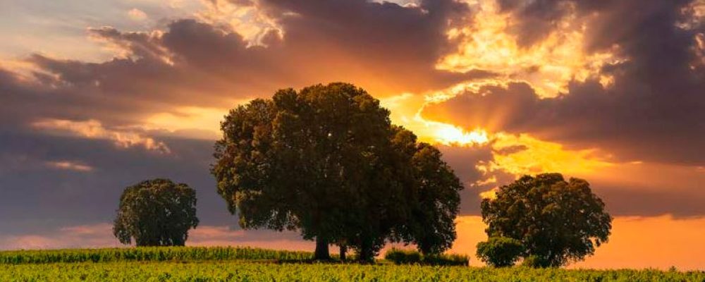 Posada Ignatius is chosen as an example of Good Practice in the Rural Development Guide