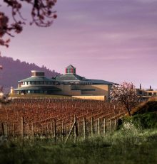 Vivanco Foundation recovers the XIII International Prize for Engraving and Wine