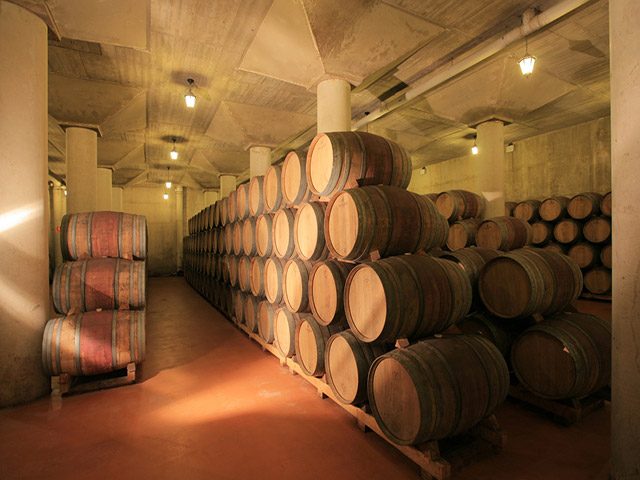 Bodega El Arca de Noé