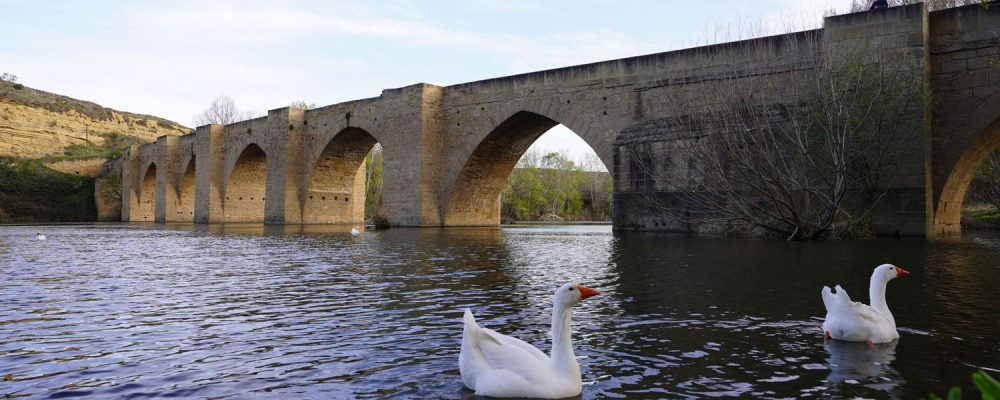 February in the Rioja Alta: fall in love with wine tourism