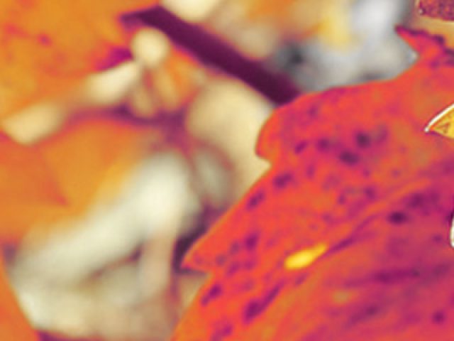 Bodegas Ramón Bilbao