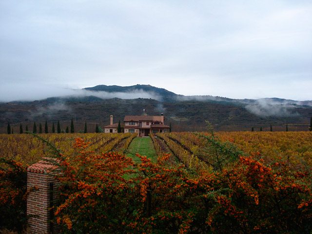 Juan Carlos Sancha Wineries