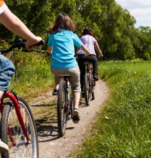 Discover the Wine Route and its Wine Trails by bike