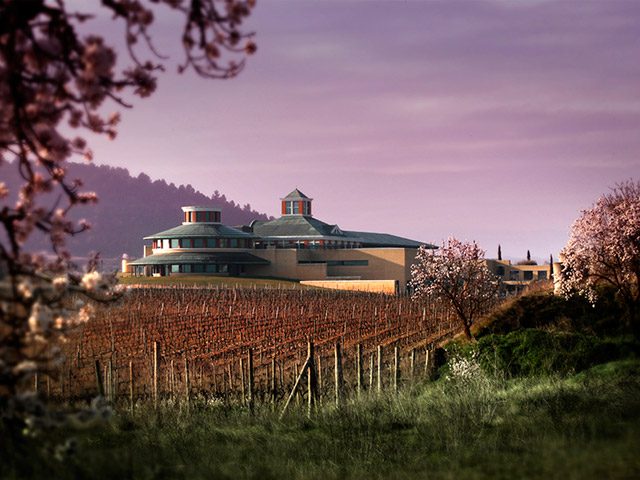 Museo del Vino Dinastía Vivanco