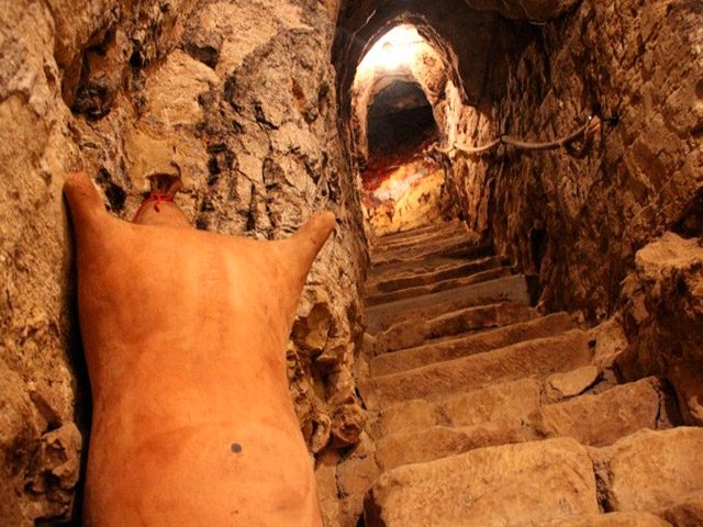 Bodegas Lecea