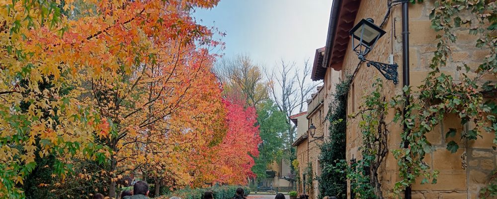 November on the Rioja Alta Wine Route: tranquillity, scenery and authentic experiences