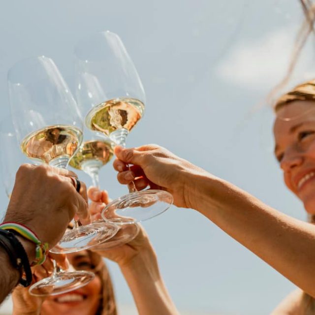 Terraceo entre Viñas – Bodegas Beronia