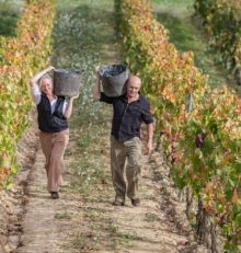 Septiembre en la Ruta del Vino Rioja Alta: la vendimia ya está aquí