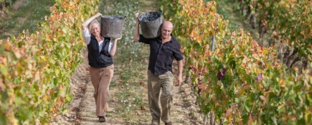 Septiembre en la Ruta del Vino Rioja Alta: la vendimia ya está aquí